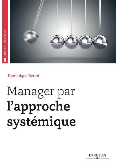 Visuel de Manager par l'approche systémique