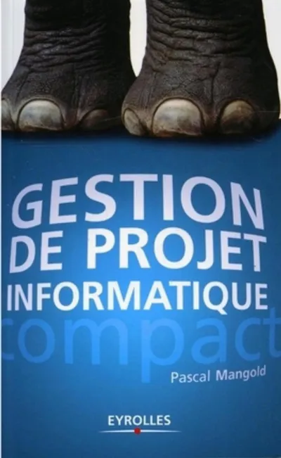 Visuel de Gestion de projet informatique