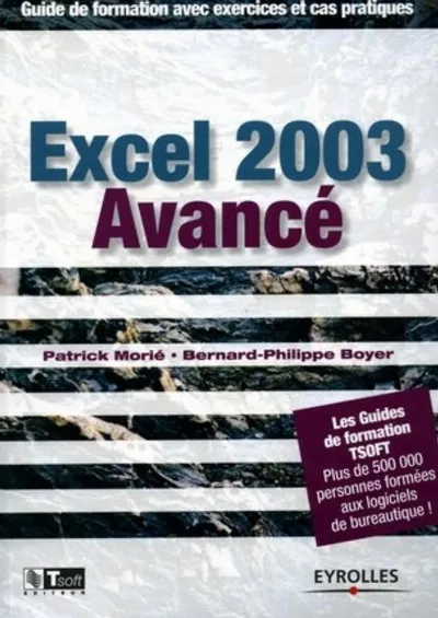 Visuel de Excel 2003 avancé