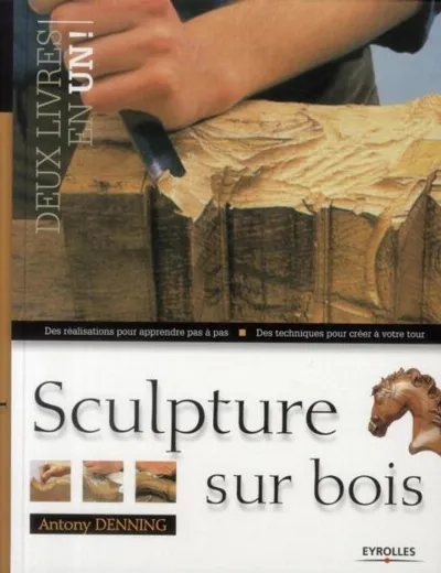 Visuel de Sculpture sur bois. des realisations pour apprendre pas a pas. des techniques po