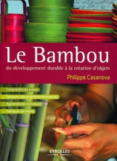 Visuel de Le bambou, du développement durable à la création d'objets