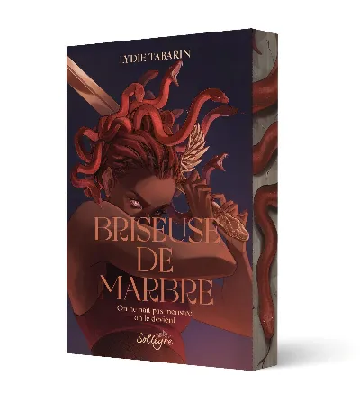 Visuel de Briseuse de marbre