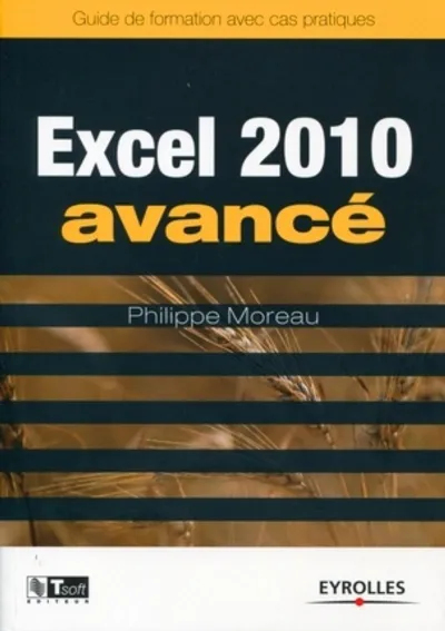 Visuel de Excel 2010 Avancé