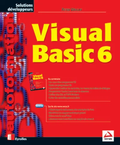 Visuel de Visual basic 6