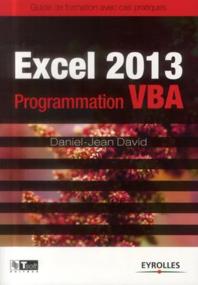 Visuel de Excel 2013 - Programmation VBA