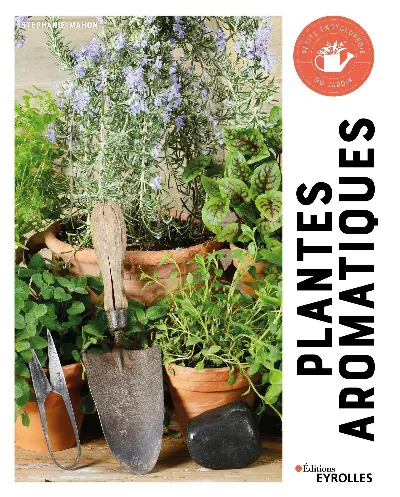 Visuel de Plantes aromatiques