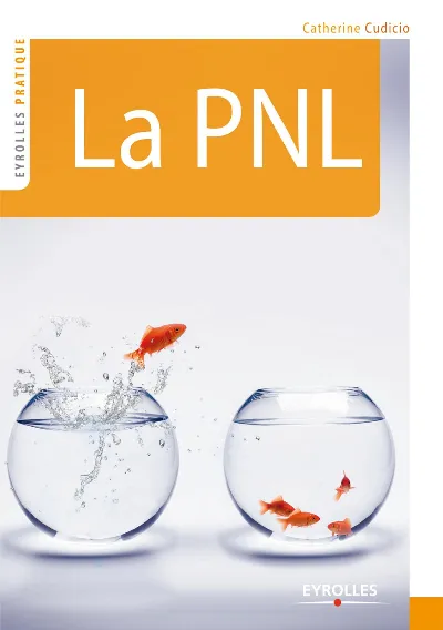 Visuel de La PNL