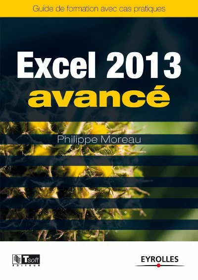 Visuel de Excel 2013 Avancé
