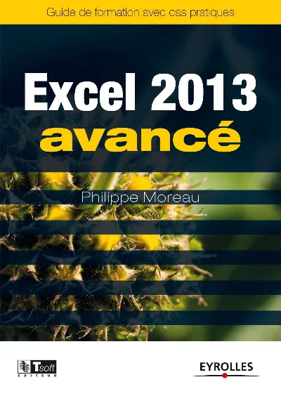 Visuel de Excel 2013 Avancé