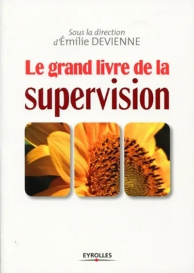 Visuel de Le grand livre de la supervision