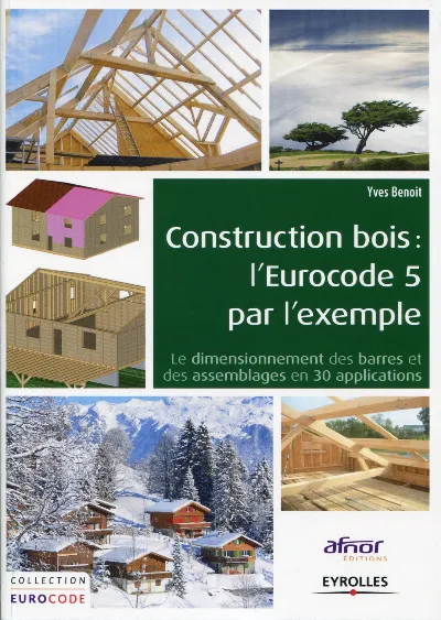 Visuel de Construction bois : l'Eurocode 5 par l'exemple