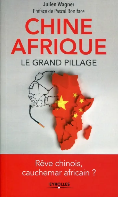 Visuel de Chine Afrique, le grand pillage