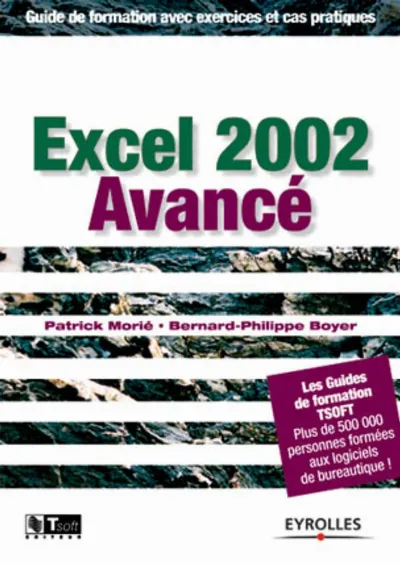 Visuel de Excel 2002 avancé