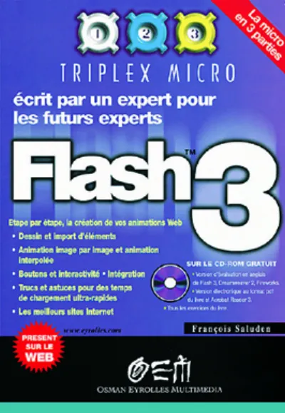 Visuel de Flash 3