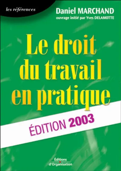 Visuel de Le Droit Du Travail En Pratique. Edition2003