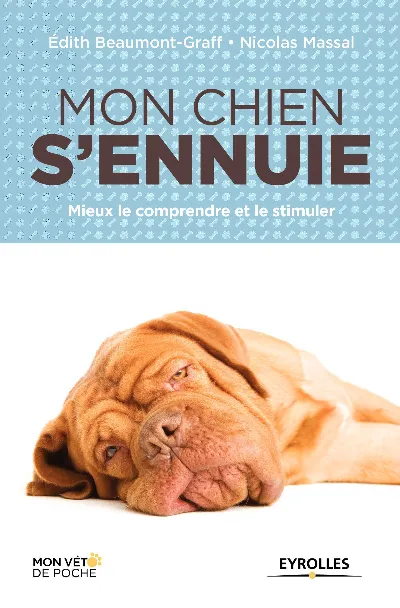 Visuel de Mon chien s'ennuie, mieux le comprendre et le stimuler