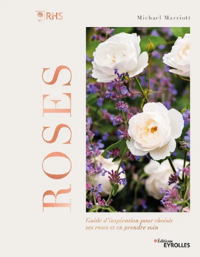 Visuel de Roses - Guide d'inspiration pour choisir ses roses et en prendre soin