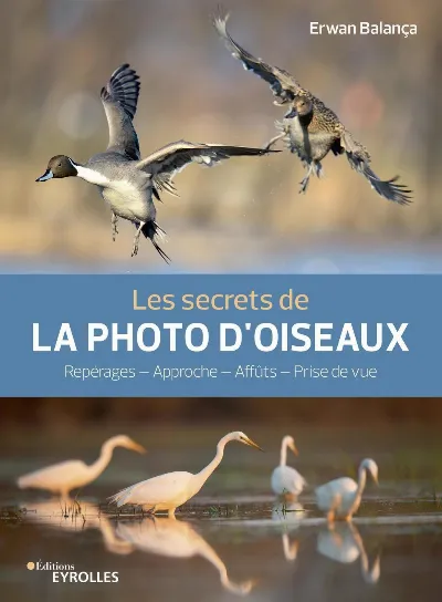 Visuel de Les secrets de la photo d'oiseaux, reportages, approche, affûts, prise de vue