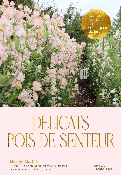 Visuel de Délicats pois de senteur