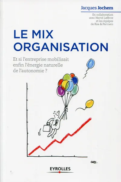 Visuel de Le mix organisation