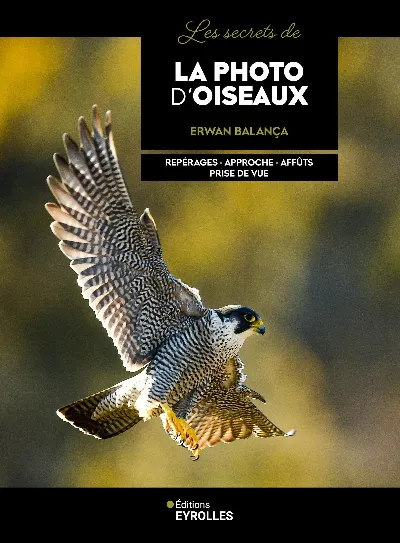 Visuel de Les secrets de la photo d'oiseaux
