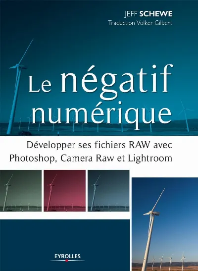 Visuel de Le négatif numérique