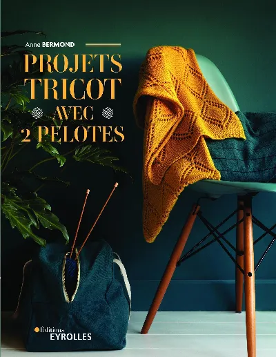 Visuel de Projets tricot avec 2 pelotes