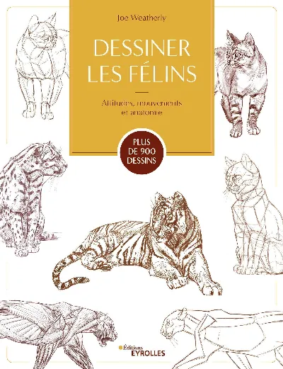 Visuel de Dessiner les félins