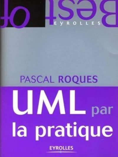 Visuel de Best of uml par la pratique