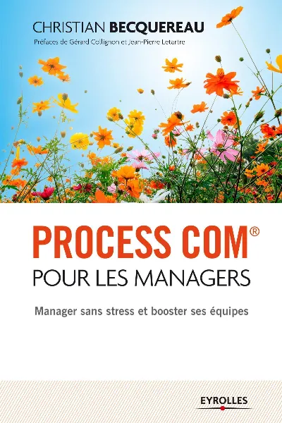 Visuel de Process Com® pour les managers