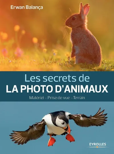 Visuel de Les secrets de la photo d'animaux