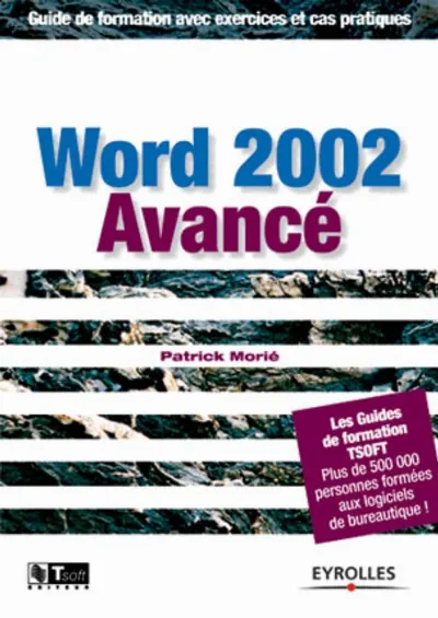 Visuel de Word 2002 avancé