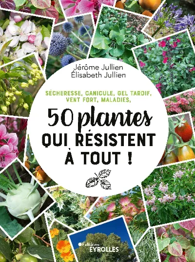 Visuel de Sécheresse, canicule, gel tardif, vent fort, maladies, 50 plantes qui résistent à tout !