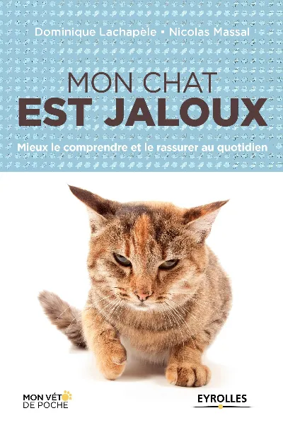 Visuel de Mon chat est jaloux mieux le comprendre et le rassurer au quotidien