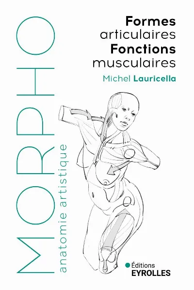 Visuel de Morpho Formes articulaires, fonctions musculaires
