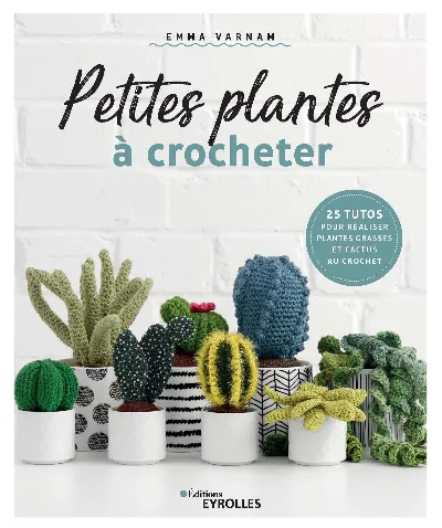 Visuel de Crocheted succulents