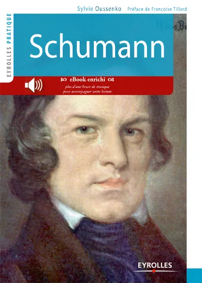 Visuel de Schumann (version enrichie)