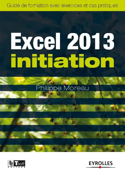 Visuel de Excel 2013 Initiation