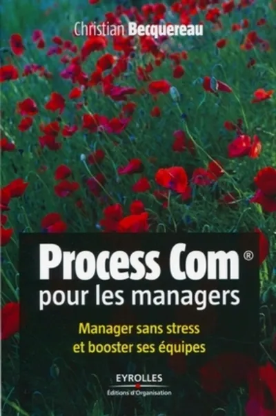 Visuel de Process com pour les managers. manager sans stress et booster ses equipes