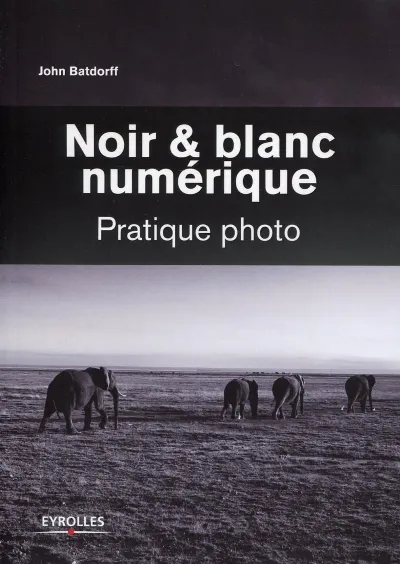 Visuel de Noir et blanc numérique
