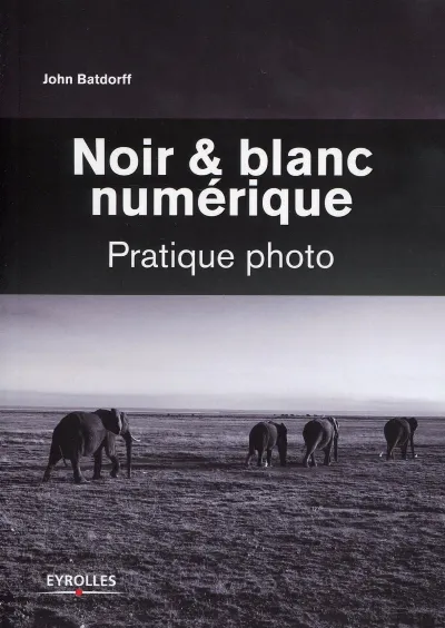 Visuel de Noir et blanc numérique