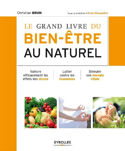 Visuel de Le grand livre du bien-être au naturel