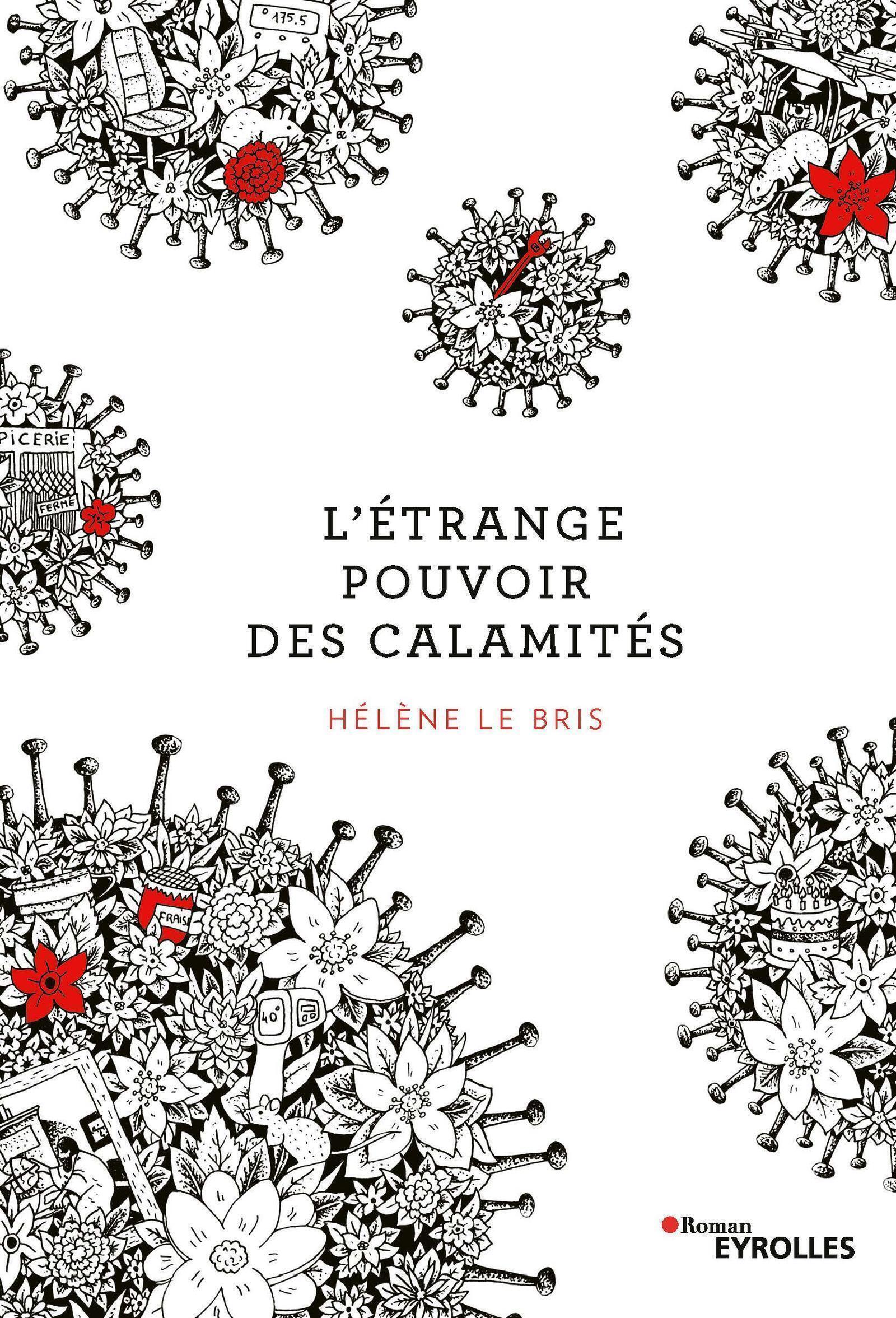 Visuel de L'étrange pouvoir des calamités