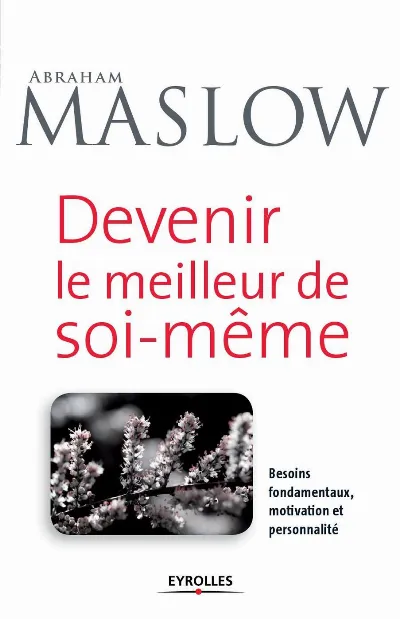 Visuel de Devenir le meilleur de soi-même