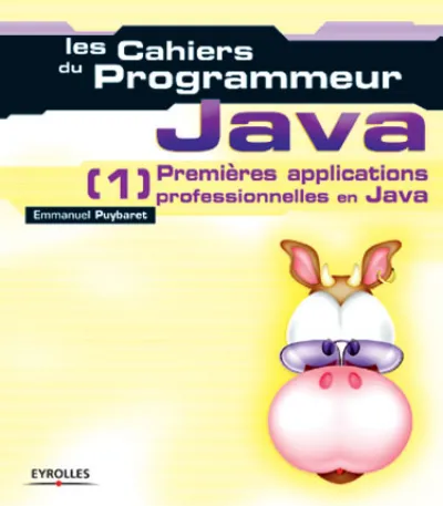 Visuel de Java - 1 Premières applications professionnelles en Java