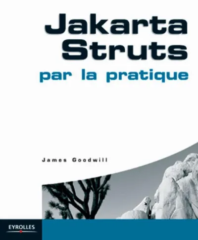 Visuel de Jakarta Struts par la pratique