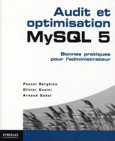 Visuel de Audit et optimisation MySQL 5