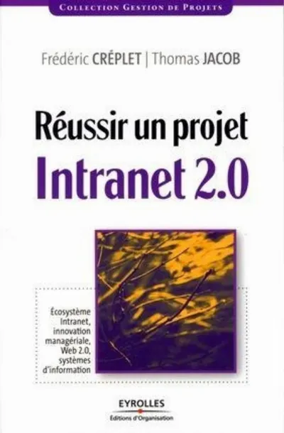 Visuel de Réussir un projet Intranet 2.0