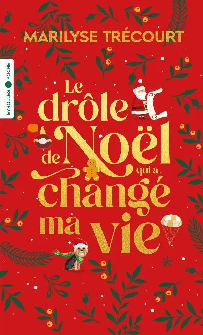 Visuel de Le drôle de Noël qui a changé ma vie