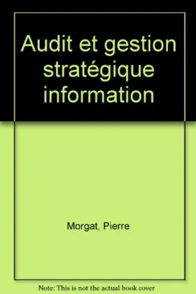 Visuel de Audit Et Gestion Strategique Information